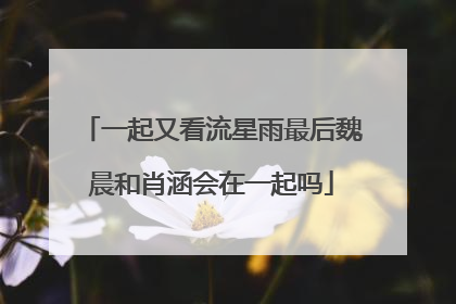 一起又看流星雨最后魏晨和肖涵会在一起吗