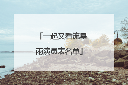 一起又看流星雨演员表名单