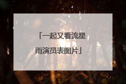 一起又看流星雨演员表图片