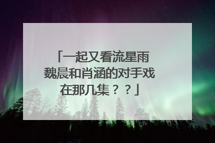 一起又看流星雨 魏晨和肖涵的对手戏在那几集??