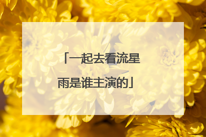 一起去看流星雨是谁主演的