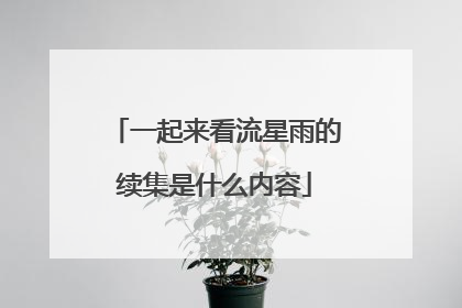 一起来看流星雨的续集是什么内容