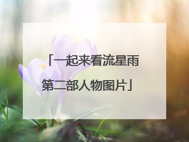 一起来看流星雨第二部人物图片