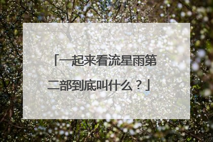 一起来看流星雨第二部到底叫什么？