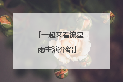 一起来看流星雨主演介绍