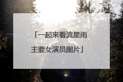 一起来看流星雨主要女演员图片
