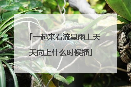 一起来看流星雨上天天向上什么时候播