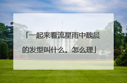 一起来看流星雨中魏晨的发型叫什么。怎么理