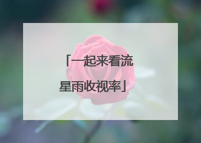 一起来看流星雨收视率