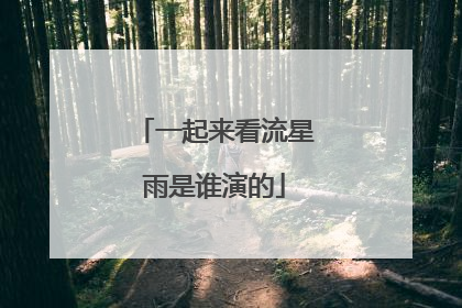 一起来看流星雨是谁演的
