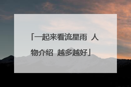 一起来看流星雨 人物介绍 越多越好