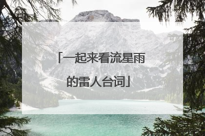 一起来看流星雨 的雷人台词