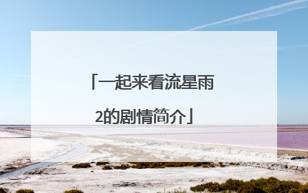 一起来看流星雨2的剧情简介