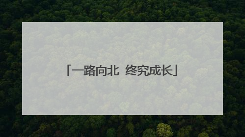 一路向北 终究成长