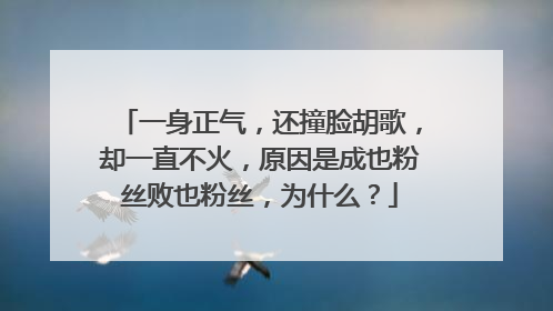 一身正气，还撞脸胡歌，却一直不火，原因是成也粉丝败也粉丝，为什么？