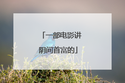 一部电影讲阴间首富的