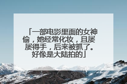 一部电影里面的女神偷，她经常化妆，且屡屡得手，后来被抓了。好像是大陆拍的