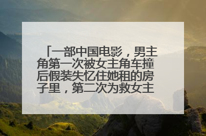 一部中国电影,男主角第一次被女主角车撞后假装失忆住她租的房子里,第二次为救女主角被撞成真失忆,请