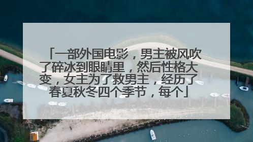一部外国电影,男主被风吹了碎冰到眼睛里,然后性格大变,女主为了救男主,经历了春夏秋冬四个季节,每个