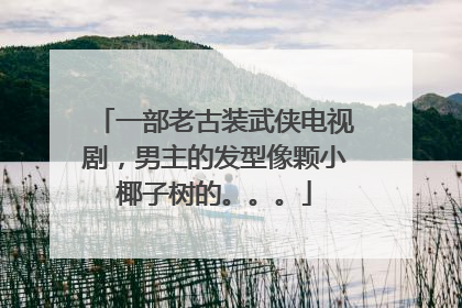 一部老古装武侠电视剧,男主的发型像颗小椰子树的。。。