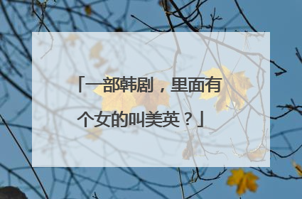 一部韩剧，里面有个女的叫美英？