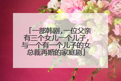 一部韩剧,一位父亲有三个女儿一个儿子,与一个有一个儿子的女总裁再婚的家庭剧