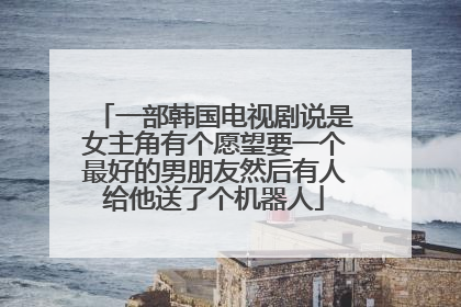 一部韩国电视剧说是女主角有个愿望要一个最好的男朋友然后有人给他送了个机器人