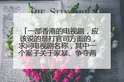 一部香港的电视剧，应该说的是打官司方面的，求问电视剧名称，其中一个案子关于家暴、争夺两个孩子抚养权