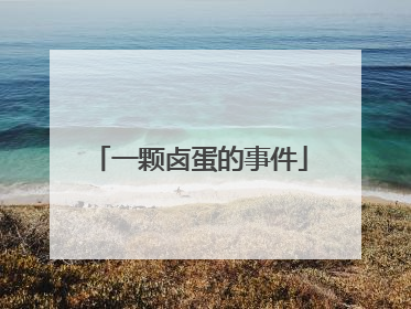 一颗卤蛋的事件