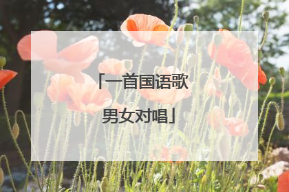 一首国语歌 男女对唱