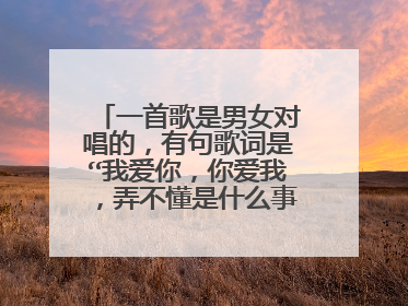 一首歌是男女对唱的，有句歌词是“我爱你，你爱我，弄不懂是什么事情”哪位知道是什么歌啊！男女对唱的！