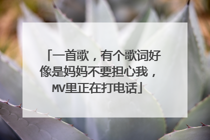 一首歌,有个歌词好像是妈妈不要担心我,MV里正在打电话