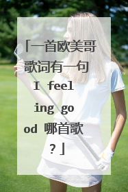 一首欧美哥 歌词有一句I feeling good 哪首歌?