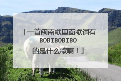 一首闽南歌里面歌词有 BOBIBOBIBO 的是什么歌啊!