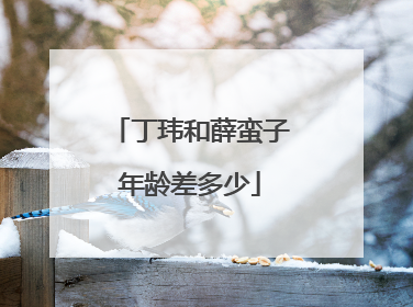 丁玮和薛蛮子年龄差多少