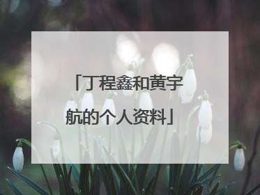 丁程鑫和黄宇航的个人资料