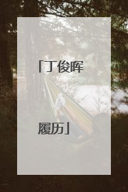 丁俊晖履历