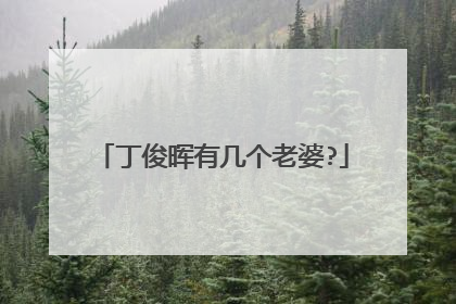 丁俊晖有几个老婆?