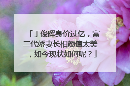 丁俊晖身价过亿,富二代娇妻长相颜值太美,如今现状如何呢?