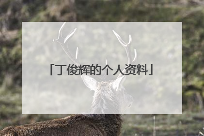 丁俊辉的个人资料