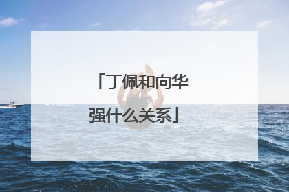 丁佩和向华强什么关系