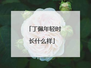 丁佩年轻时长什么样
