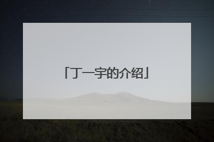 丁一宇的介绍