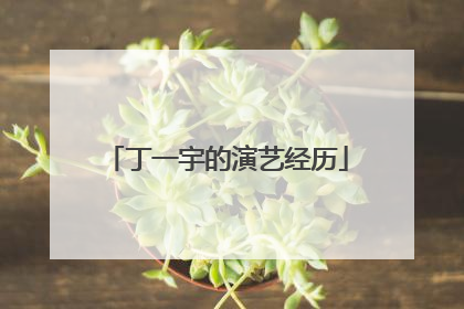 丁一宇的演艺经历