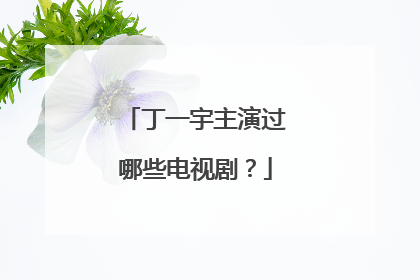 丁一宇主演过哪些电视剧?