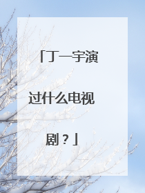 丁一宇演过什么电视剧?