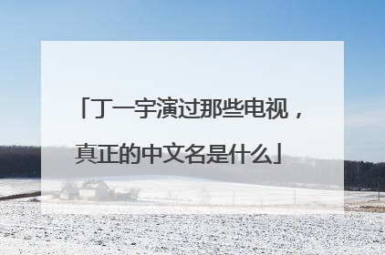 丁一宇演过那些电视,真正的中文名是什么