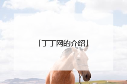 丁丁网的介绍