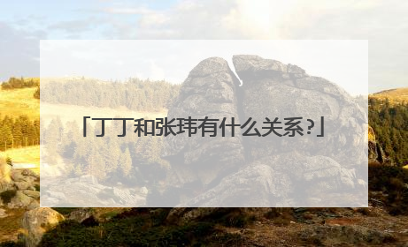 丁丁和张玮有什么关系?