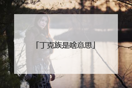 丁克族是啥意思